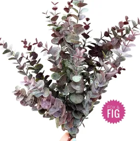 Burgundy Eucalyptus Bundle