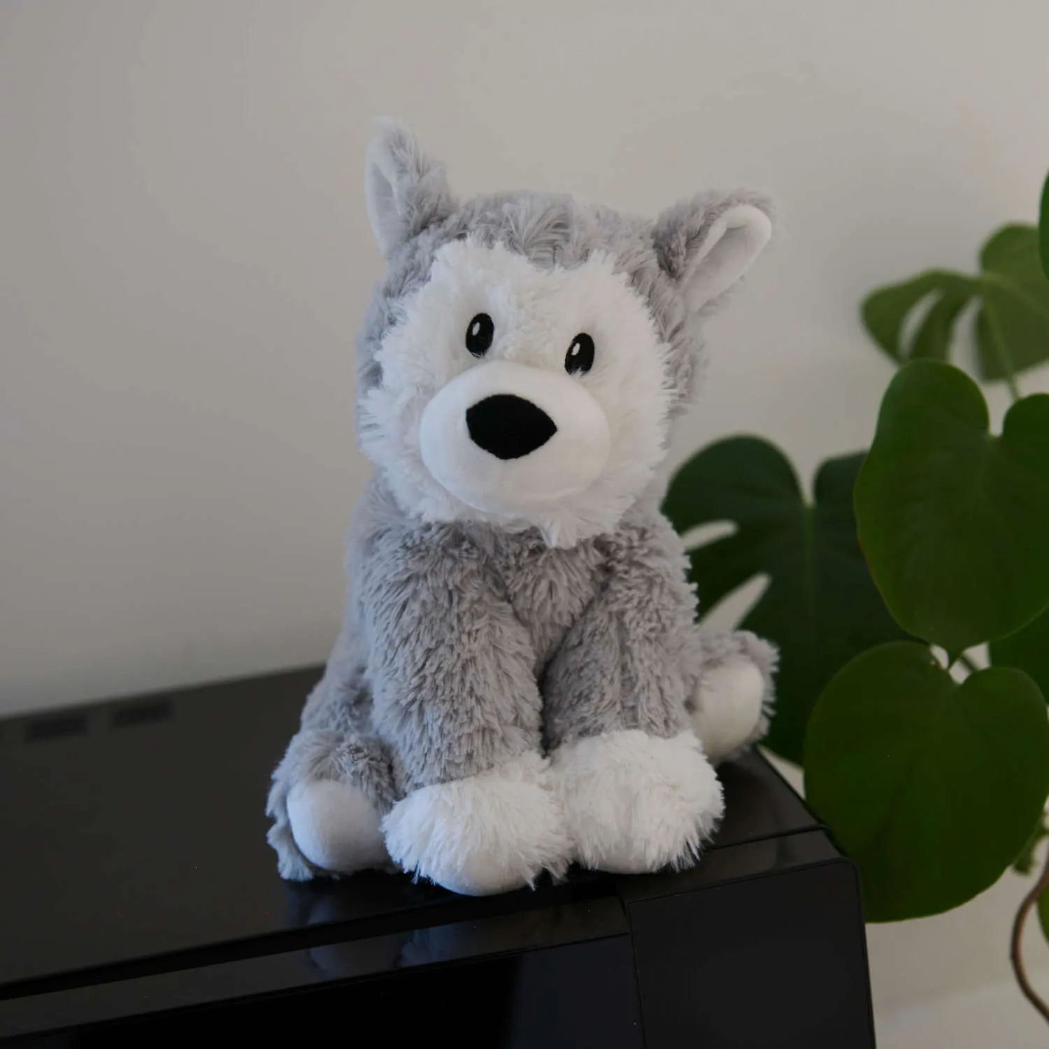 Plush Husky Microwavable