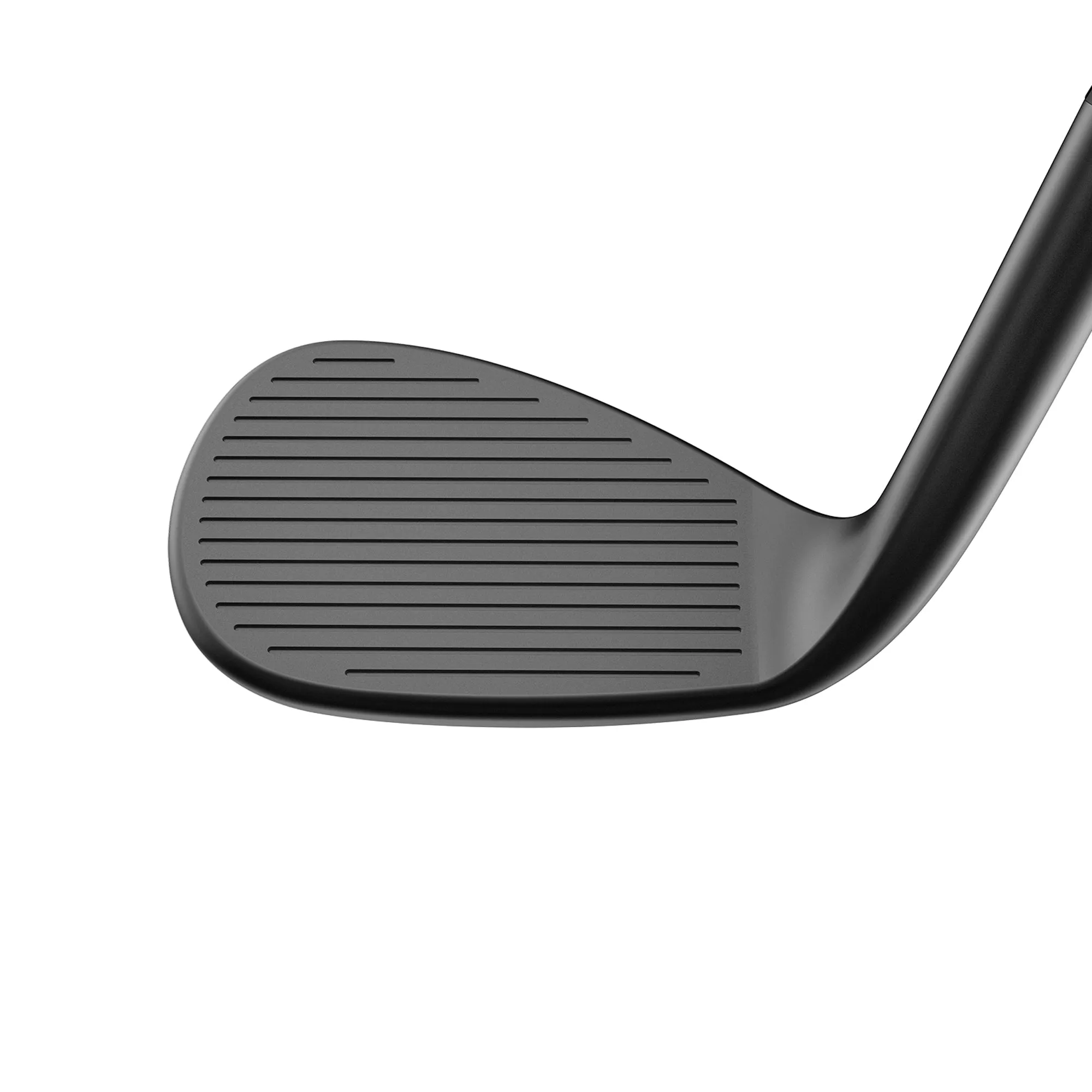 SNAKEBITE Black Wedge | Wide Low | Left